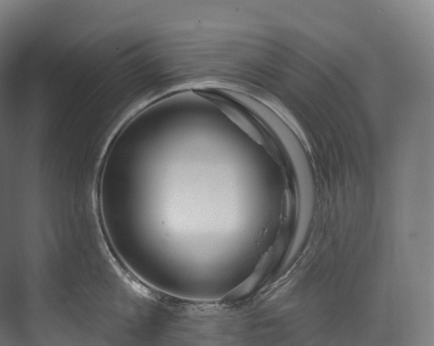 X0000073480813200608071019