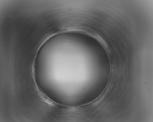 X0000073480814200608071019