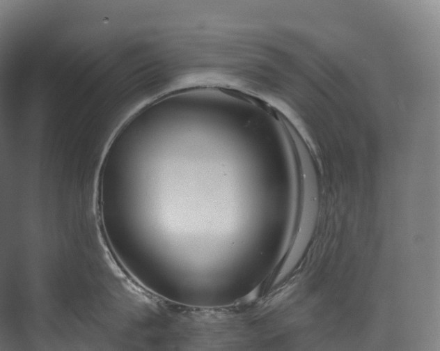 X0000073480815200608071019