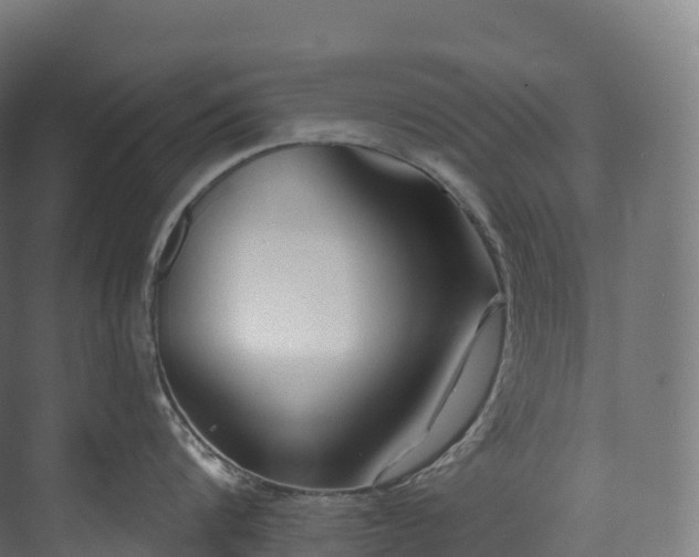 X0000073480816200608071019