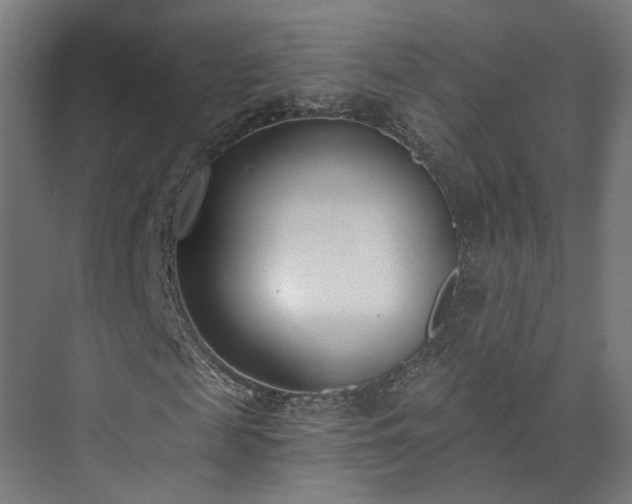 X0000073480817200608071018