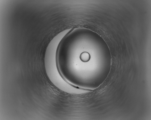 X0000073480818200608071018