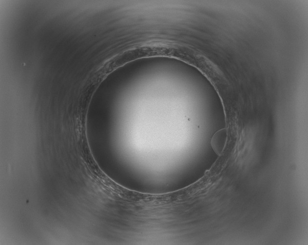 X0000073480821200608071018