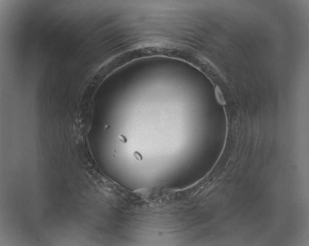 X0000073480822200608071018