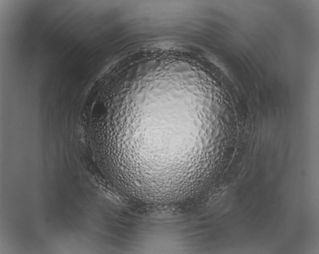 X0000073480823200608071018