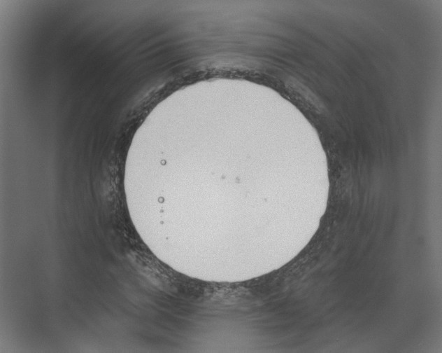 X0000073480824200608071018