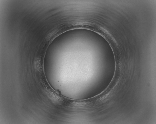 X0000073480825200608071018