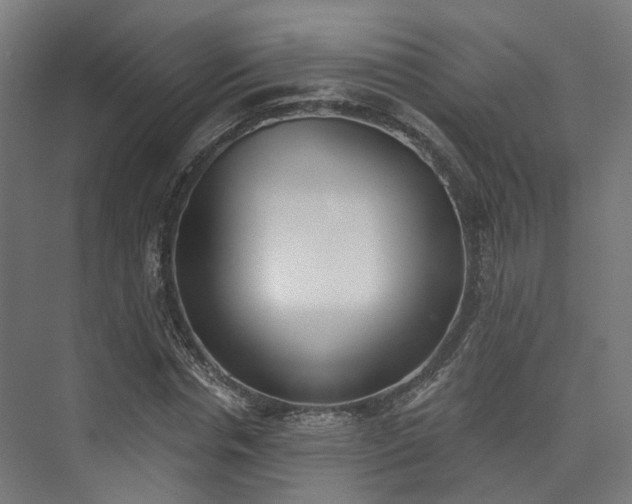 X0000073480826200608071018