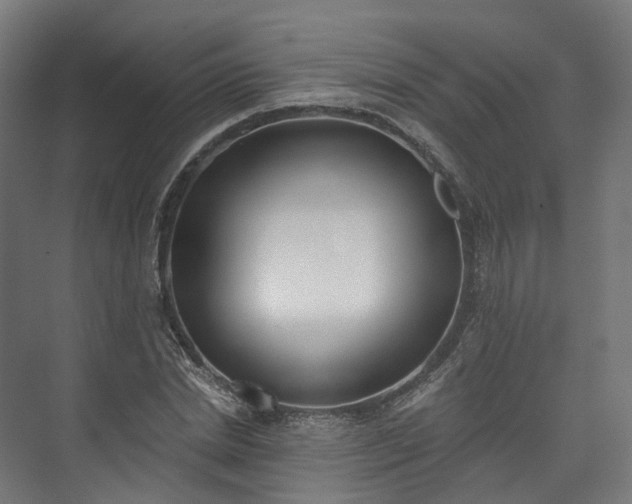 X0000073480830200608071018