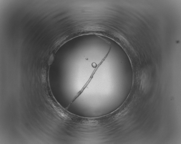 X0000073480833200608071018