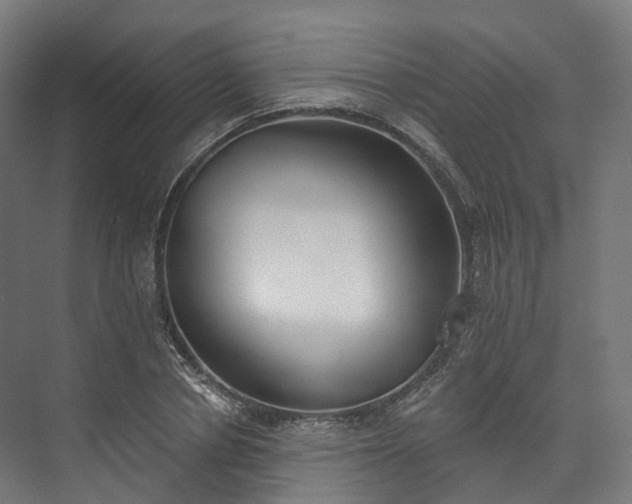 X0000073480834200608071018