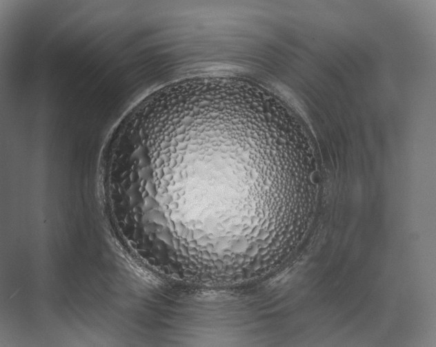 X0000073480835200608071018