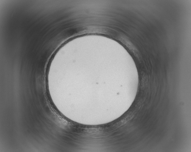 X0000073480836200608071019