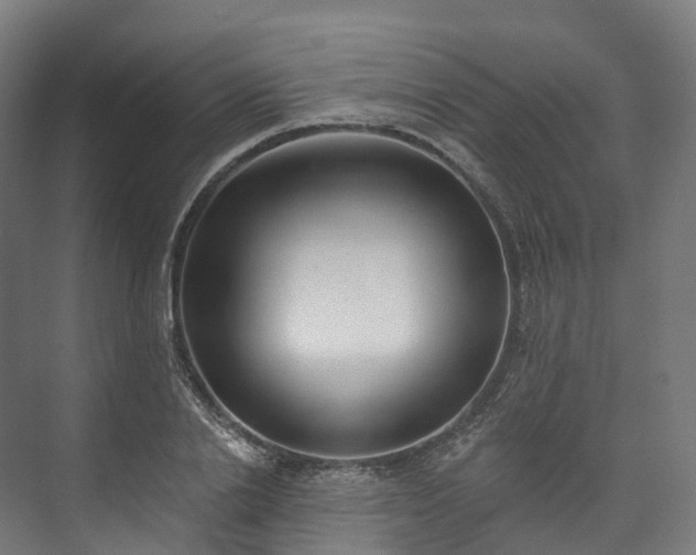 X0000073480838200608071019