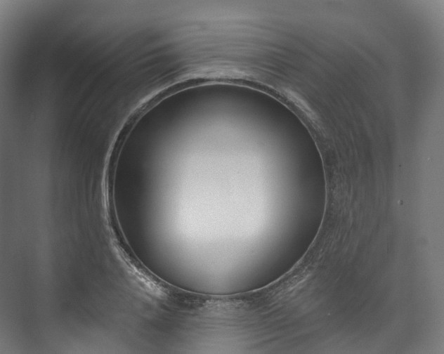 X0000073480840200608071019