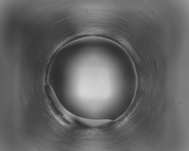 X0000073480842200608071019