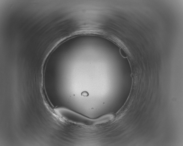 X0000073480844200608071019