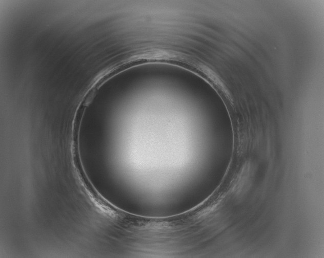 X0000073480845200608071019