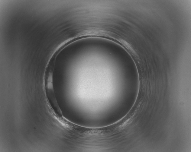 X0000073480846200608071019