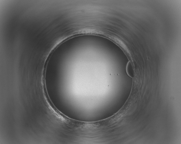 X0000073480847200608071019