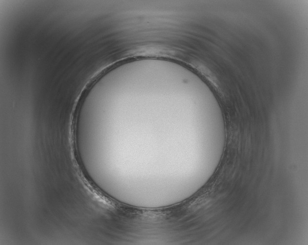 X0000073480848200608071019