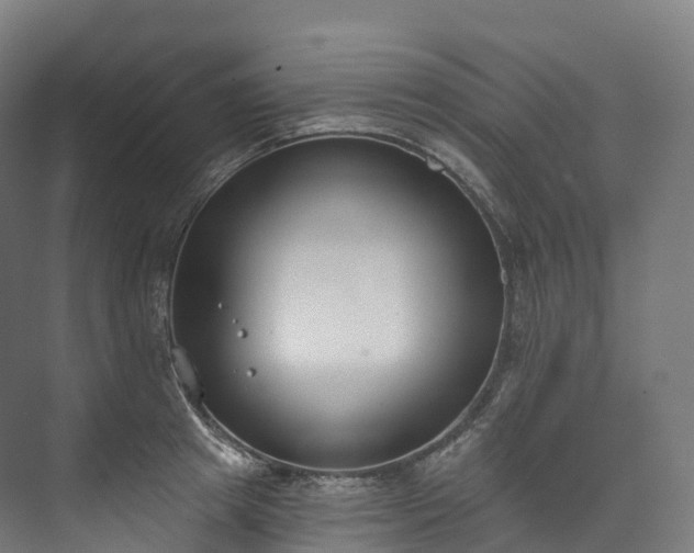 X0000073480849200608071019