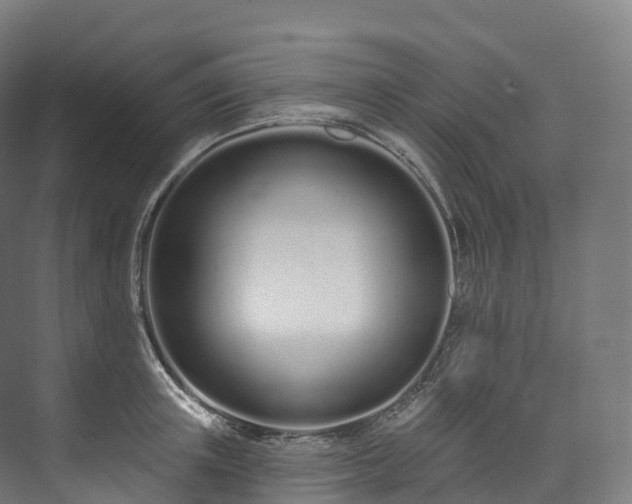 X0000073480851200608071019