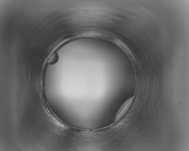 X0000073480852200608071019