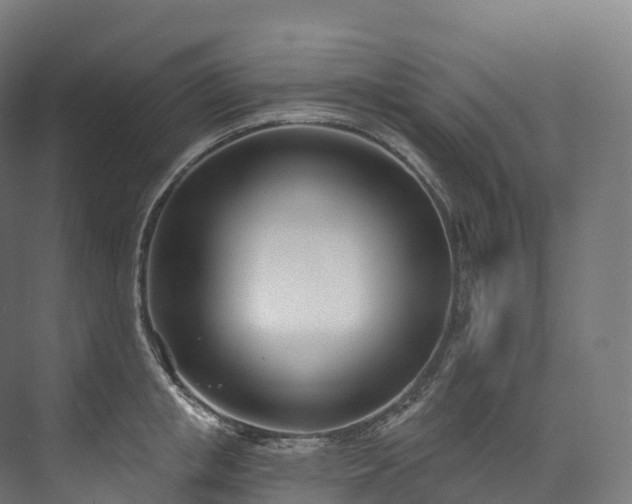 X0000073480853200608071019