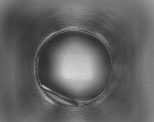 X0000073480854200608071019