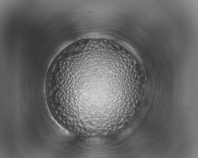 X0000073480855200608071019