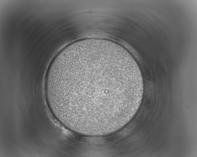 X0000073480856200608071019