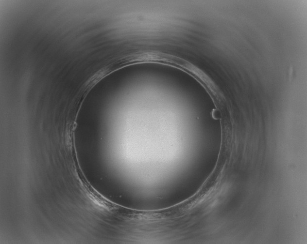 X0000073480857200608071019