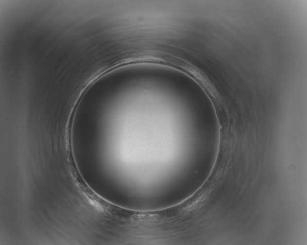 X0000073480858200608071019