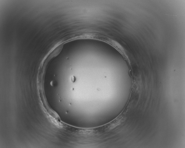 X0000073480859200608071019