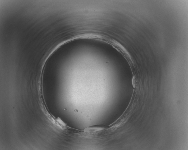 X0000073480860200608071019