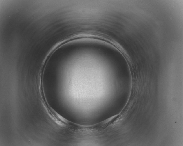 X0000073480862200608071019