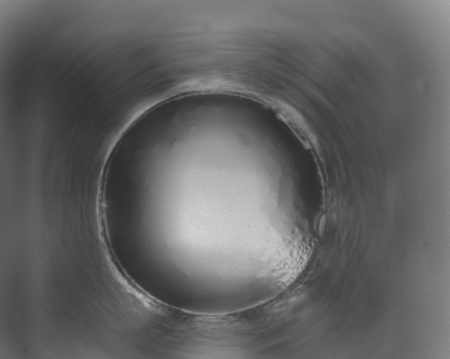 X0000073480863200608071019