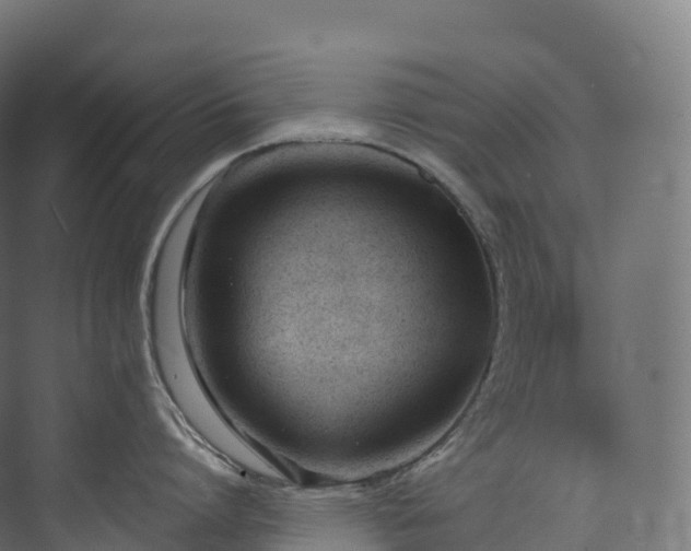 X0000073480864200608071019