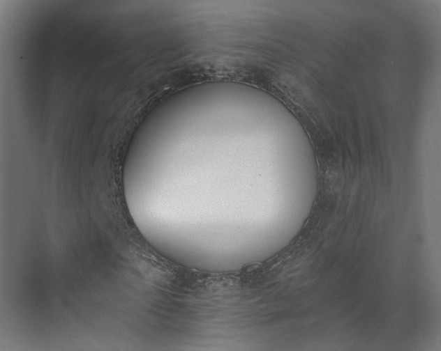 X0000073480865200608071018