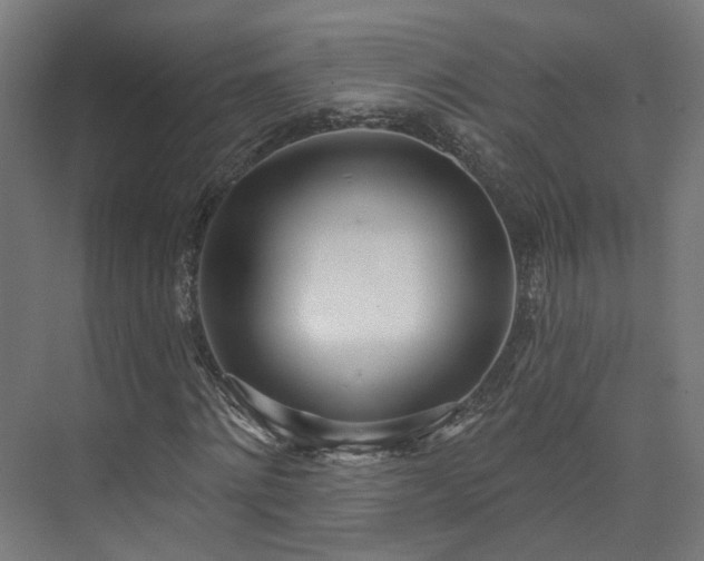 X0000073480868200608071018