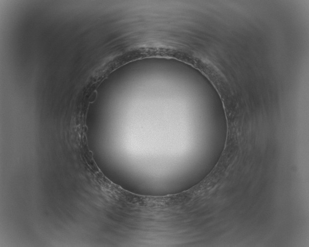 X0000073480870200608071018