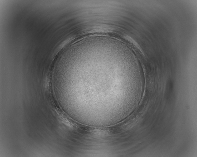 X0000073480874200608071018