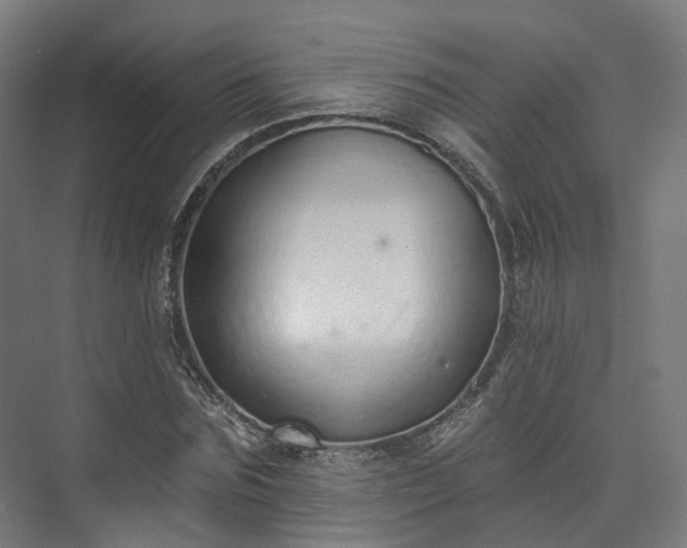 X0000073480875200608071018