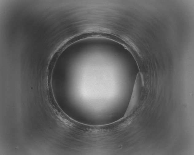 X0000073480877200608071018