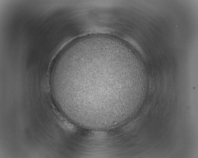 X0000073480878200608071018