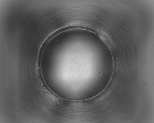 X0000073480880200608071018