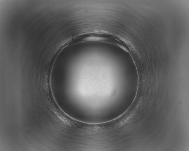 X0000073480881200608071018