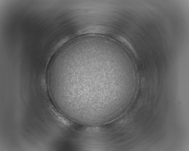 X0000073480882200608071018