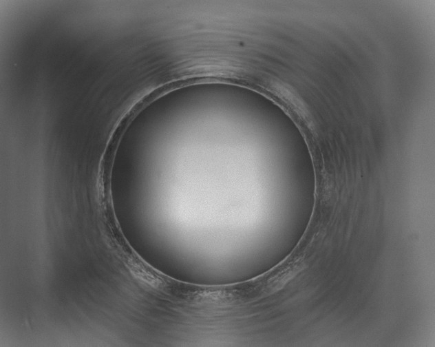 X0000073480883200608071018